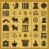 Chu Shogi