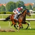 Czech Derby