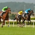 Colombian Derby