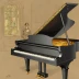 Chopin: Prelude No. 5 in D major, Op. 28