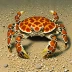 Calico Crab