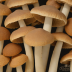 Cremini Mushroom