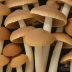 Cremini Mushroom