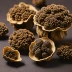 Chinese Black Truffle