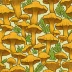 California Golden Chanterelle