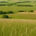 Cayler Prairie State Preserve
