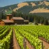 Cayuse Vineyards