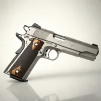 Colt 1911 Government