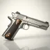 Colt 1911 Government