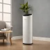 Coway AP-1512HH Mighty