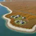 Cape Churchill Tundra
