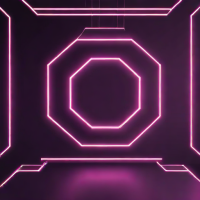 Coach Metropolitan Brief