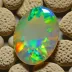 Contra Luz Opal