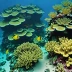 Colombia Reef