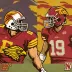 Cy-Hawk Series