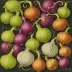 Charles Talbut Onions
