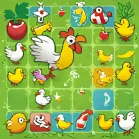 Chicken Shuffle Jr