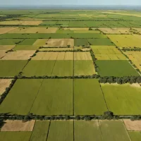Cuenca del Plata plains