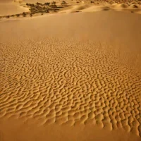 Calanscio Sand Sea
