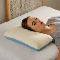 Cushnix Memory Foam Pillow