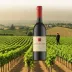 Cornelissen (Frank Cornelissen)