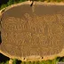Côa Valley Petroglyphs