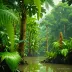 Chocó-Darién Rainforest