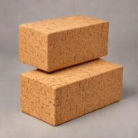 Cork Yoga Blocks - 2 Pack