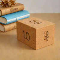 Cork Yoga Blocks - 1 Pack