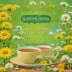 Celestial Seasonings Sleepytime Detox