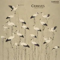Cranes - Forever