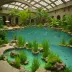 Cairo Aquarium Garden