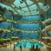 Changsha Haichang Ocean Park