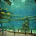 Chengdu Haichang Polar Ocean World