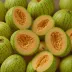 Cantaloup Sucrin