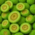 Cantaloup Brodé Vert