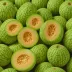 Cantaloup Charentais Fijne Zomer