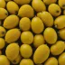 Canistel / Eggfruit (Pouteria campechiana)