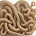 Curled Octopus (Eledone cirrhosa)