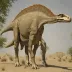 Corythosaurus casuarius