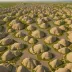 Cannonball River Badlands