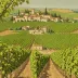 Château Rayas (Emmanuel Reynaud)