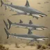 Cosmopolitodus hastalis