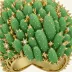 Cartier Cactus de Cartier Ring