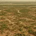 Central Indochina Dry Forests
