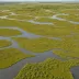 Cheyenne Bottoms