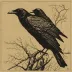 Crow: From the Life and Songs of the Crow