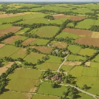 Cawston Heath