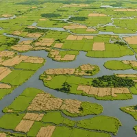Cooling Marshes
