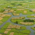 Cooling Marshes